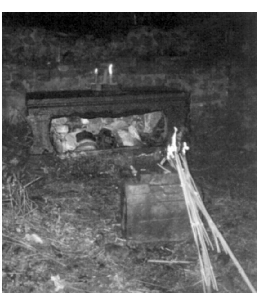 Figure 1: “Cold” shetan (of former Yin clan) in Yincun Yao 