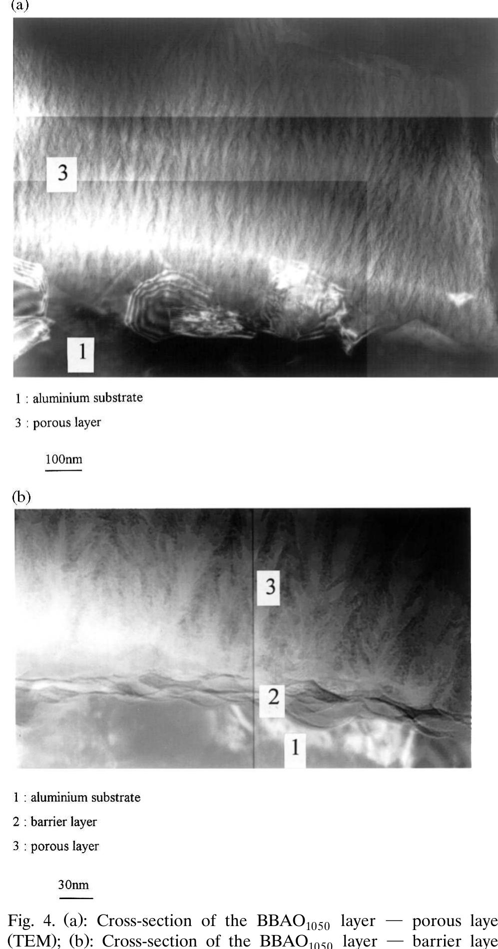 Proxamately (a): cross-section of the paoj959 layer (tem); (b): plan
