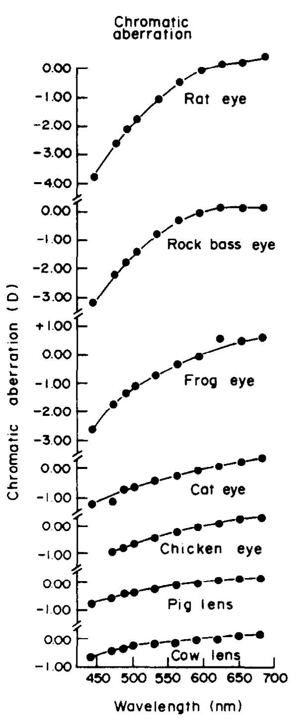 (PDF) Longitudinal chromatic aberration of the vertebrate eye