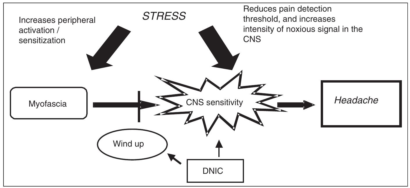 I. a model for stress and headache mechanisms. the model