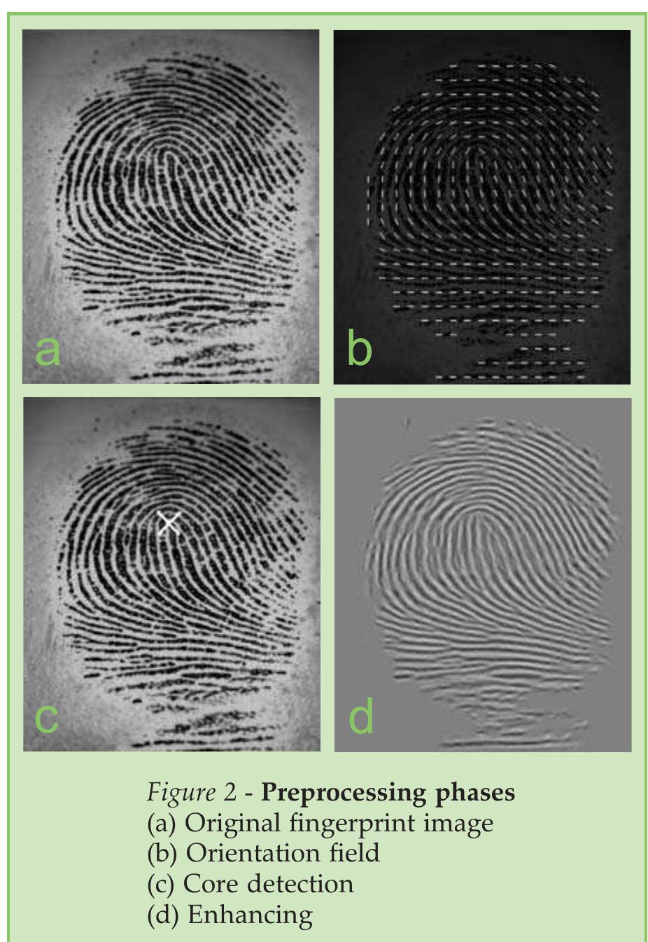 (PDF) A Fingerprint Matching Algorithm For Programmable Smart Cards