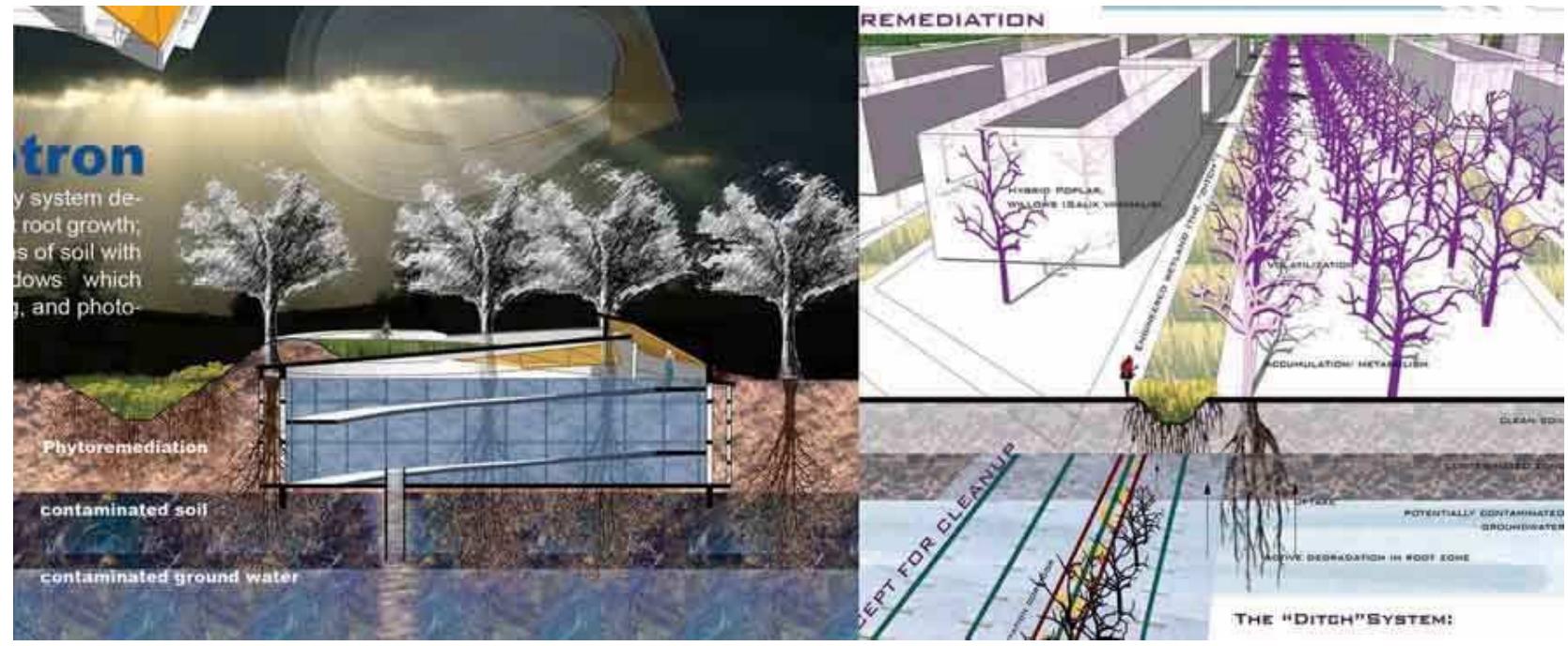 Figure 2: Rhizotron: An underground laboratory designed for examining and experiencing plant root growth complements the green infrastructure of ditches and tree boulevards. (Samimi and Wang, 2007)  In conclusion, pedestrian movement within the remediation framework becomes an aesthetic experience that changes over time through the successional and adaptive media of plants and the water ditches as organizing elements for remediation and surface stormwater treatment in a later phase. This multi-layered green infrastructure is complemented by educational elements. 