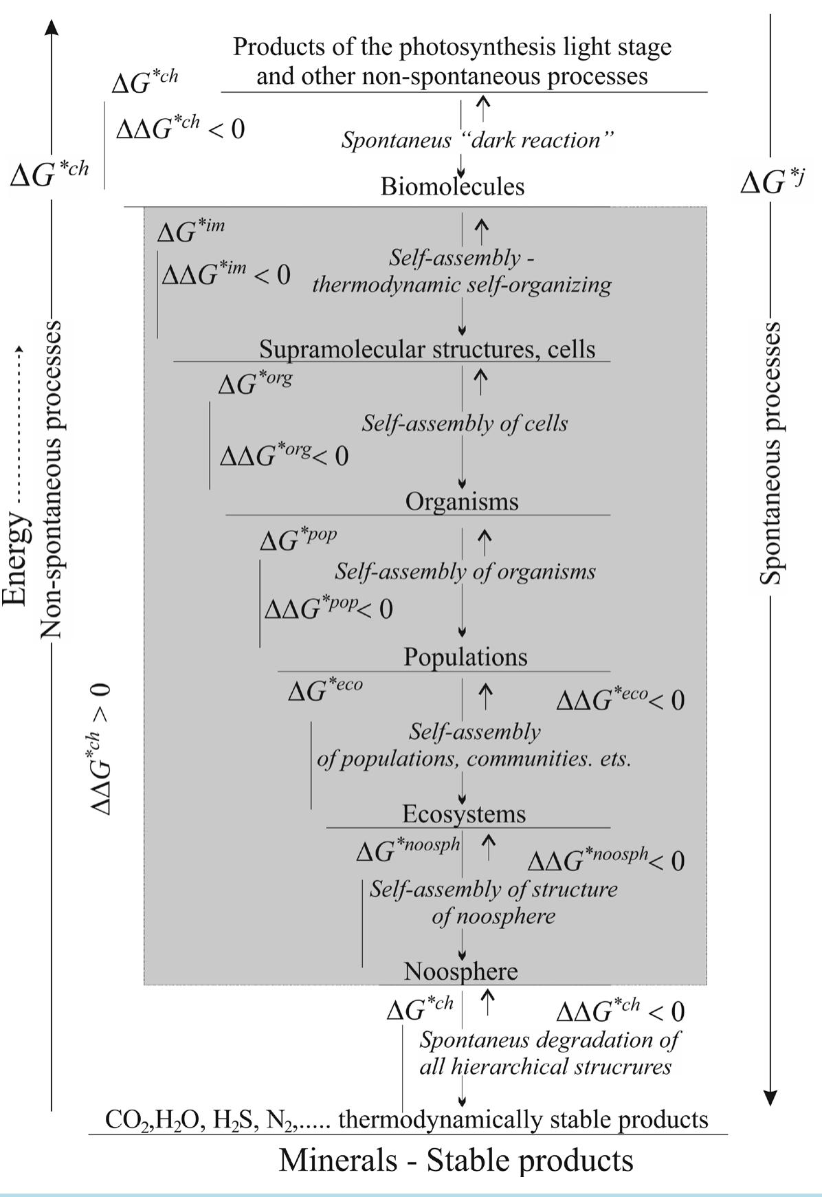 (PDF) Natural Selection and Thermodynamics of Biological Evolution