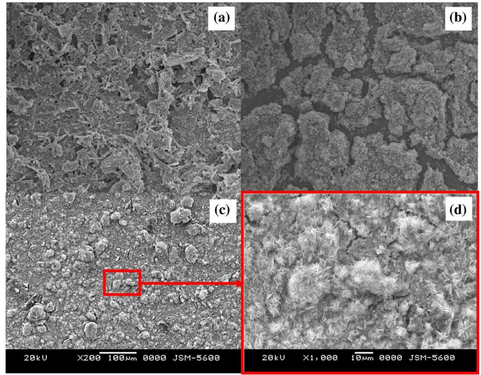 Sem microphotos of (a) fresh as-synthesized cuo/zno-al,03