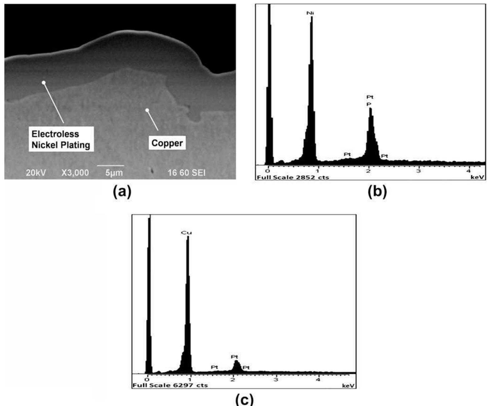Sem image and edx spectra of heat spreader b. (a)