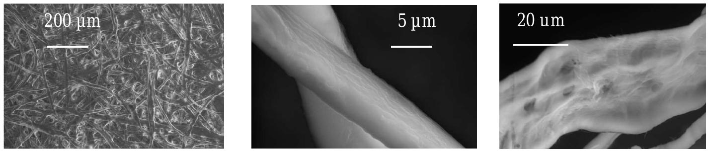 Sheets of fax paper in a dry atmosphere break in a brittle manner. This is evidenced by the elastic stress-strain dependence which is quasi-linear until rupture (fig. Bp). Another sign that rupture is essentially brittle is given by the very good match between the two opposite lips of the fracture surfaces observed on post-mortem samples. A sheet of paper is a complex  Figure 4: Scanning electron microscopy performed at GEMPPM (INSA Lyon) shows the mi- crostructure of our samples and even the defects on the surface of a single fiber. 