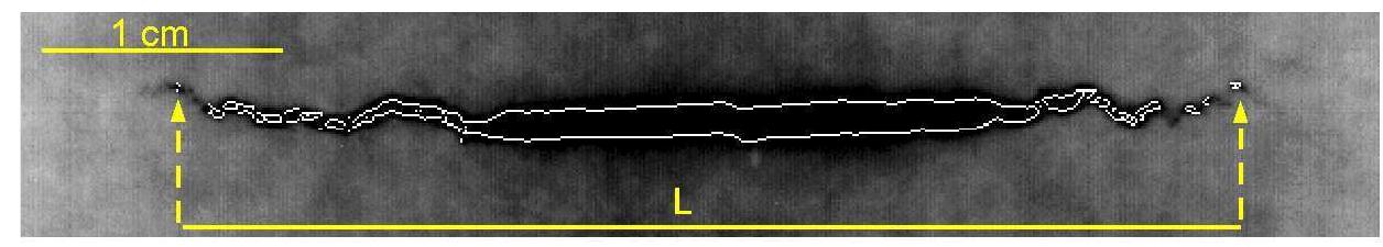 observe that the global deformation of the paper sheet during a creep experiment is correlated in a rather reproducible way to the crack growth whatever the rupture time. We use this property to trigger the camera at fixed increment of deformation (one micron) rather than at fixed increment in time. This avoids saturation of the onboard memory card when the crack growth is slow and makes the acquisition rate faster when the crack grows faster and starts to have an effect on global deformation. We acquire 2 frames at 250fps at each trigger and obtain around one thousand images per experiment. Image analysis is performed to extract  Figure 5: Extraction of the projected crack length L from the crack contour detected. 