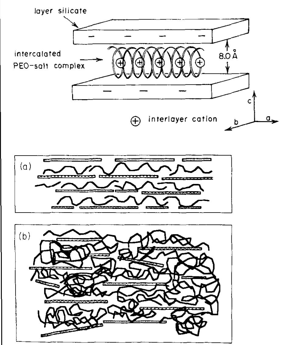 A) structural representation of peo intercalated in a