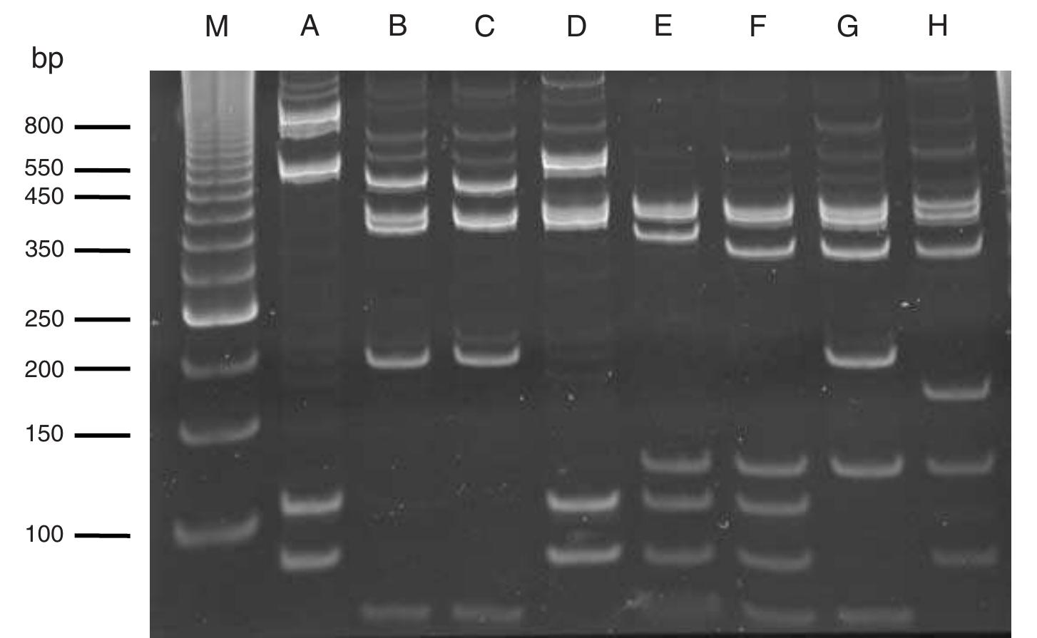 (PDF) Genetic diversity and technological properties of Streptococcus ...