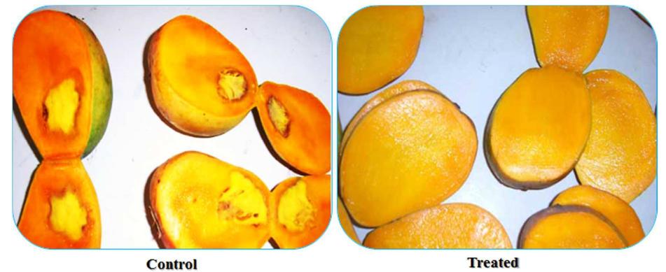 Figure 1 - from Morphological Characterization, Quality,
