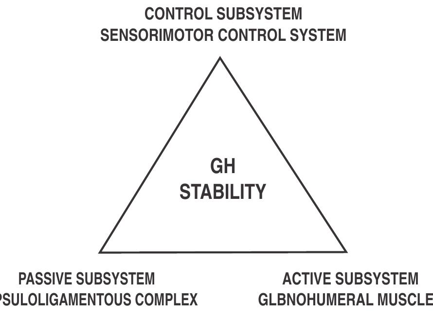 Multidimensional Instability (PDF) Multidirectional instability of the shoulder: Current concepts ...