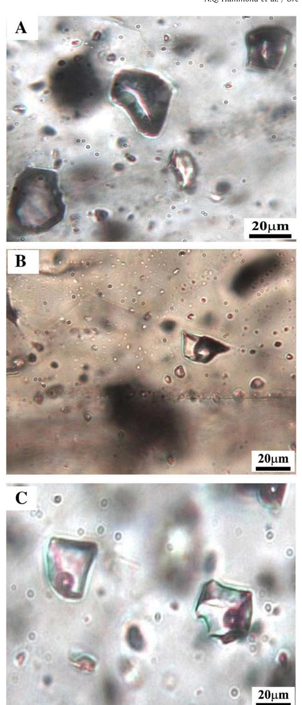 Photomicrographs of fluid inclusion in quartz—feldspar vein