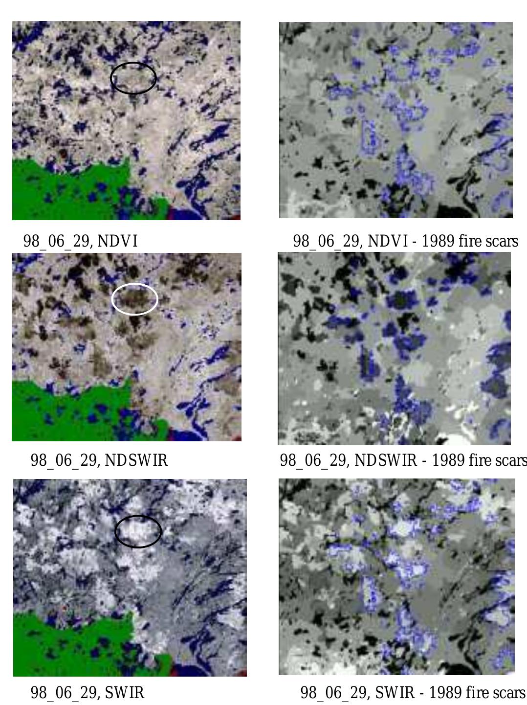 Behaviour of ndvi and ndswir with fire scar age as seen from