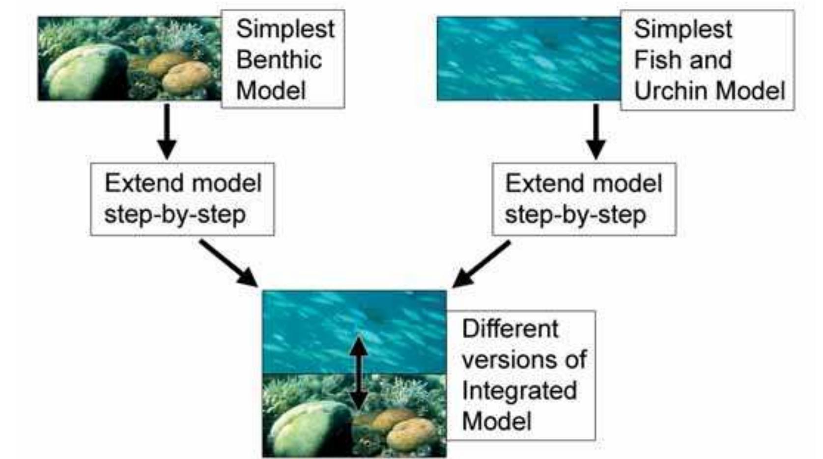 Schematic diagram of the stepwise-refinement modeling
