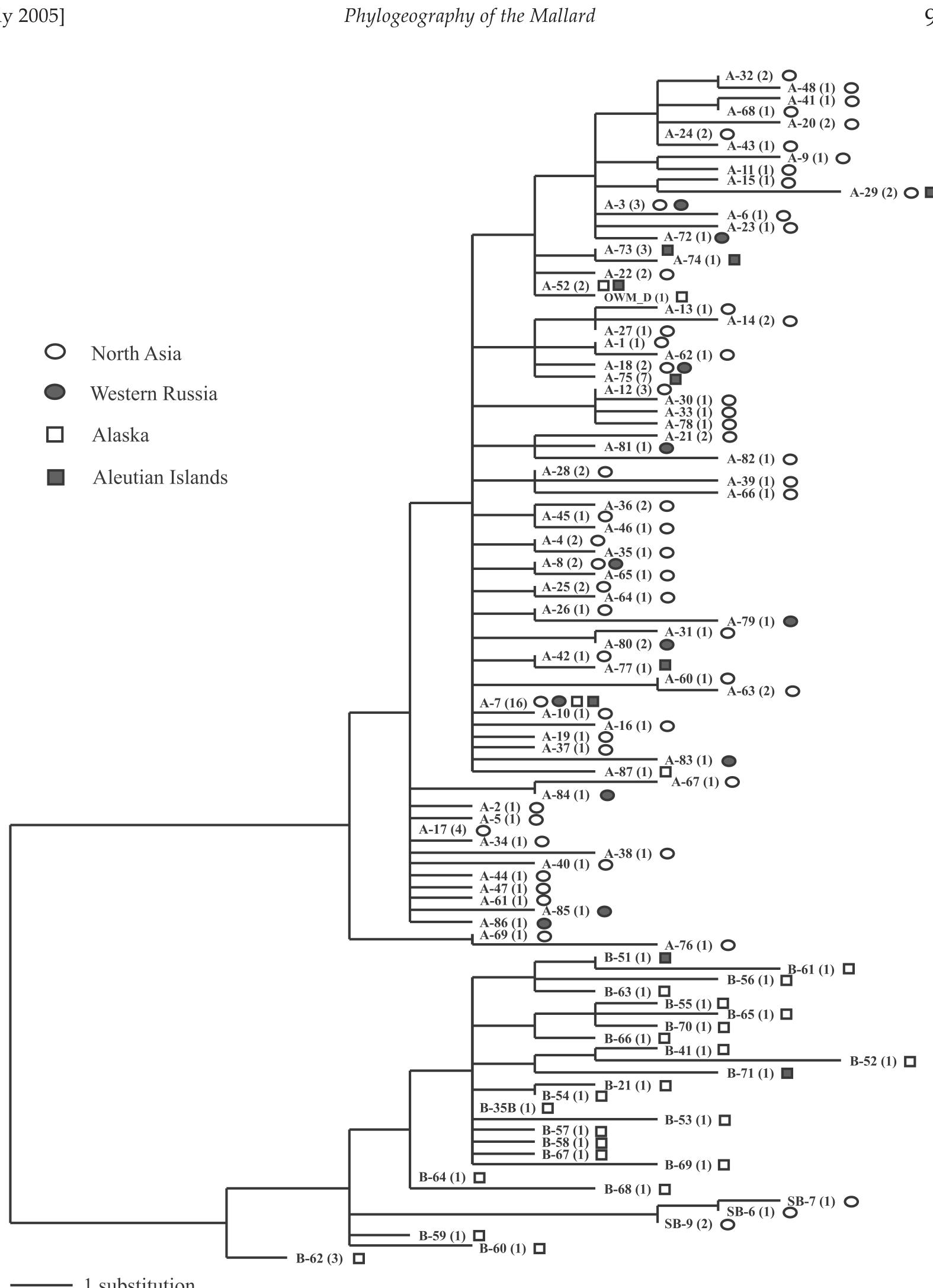 (PDF) PHYLOGEOGRAPHY OF THE MALLARD (ANAS PLATYRHYNCHOS): HYBRIDIZATION ...