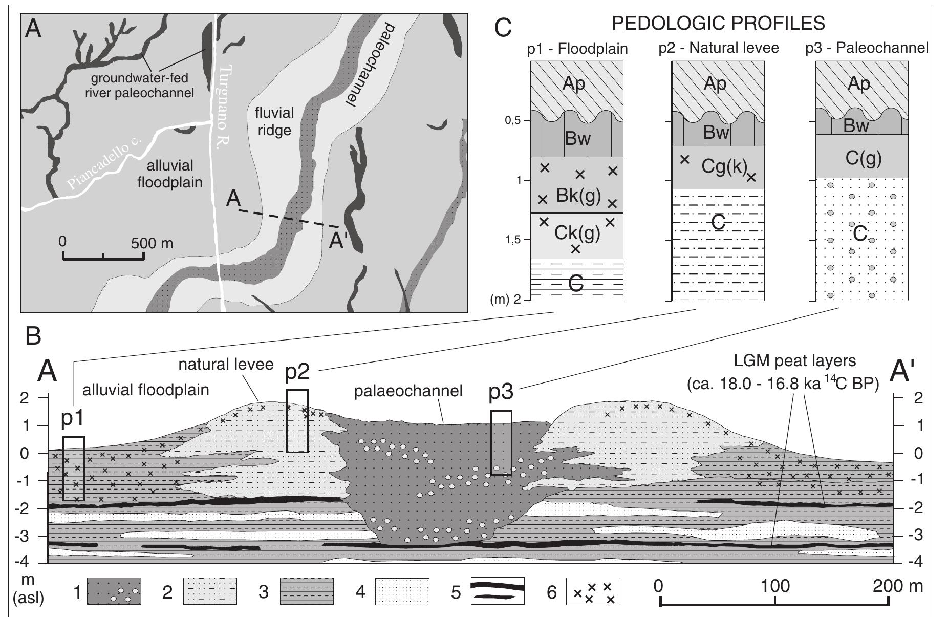 Tabular Spring Geological map and schematic stratigraphic profiles in the