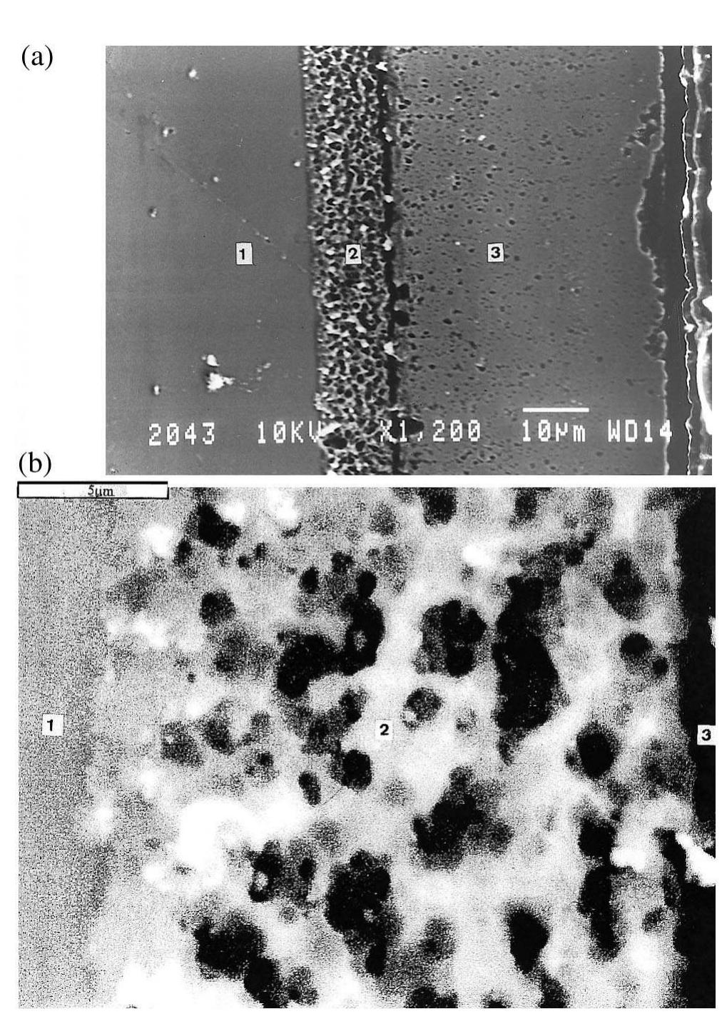 (PDF) Nickel–aluminide coating of TiAl by a two-stage process