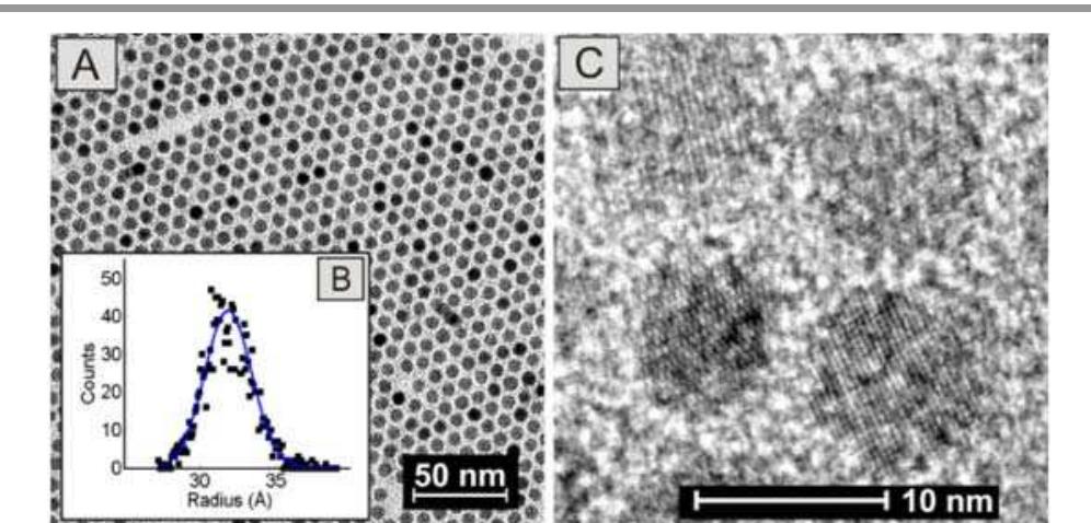 Particle Shell Grafted (PDF) Melt-grafting for the synthesis of core–shell nanoparticles with ...