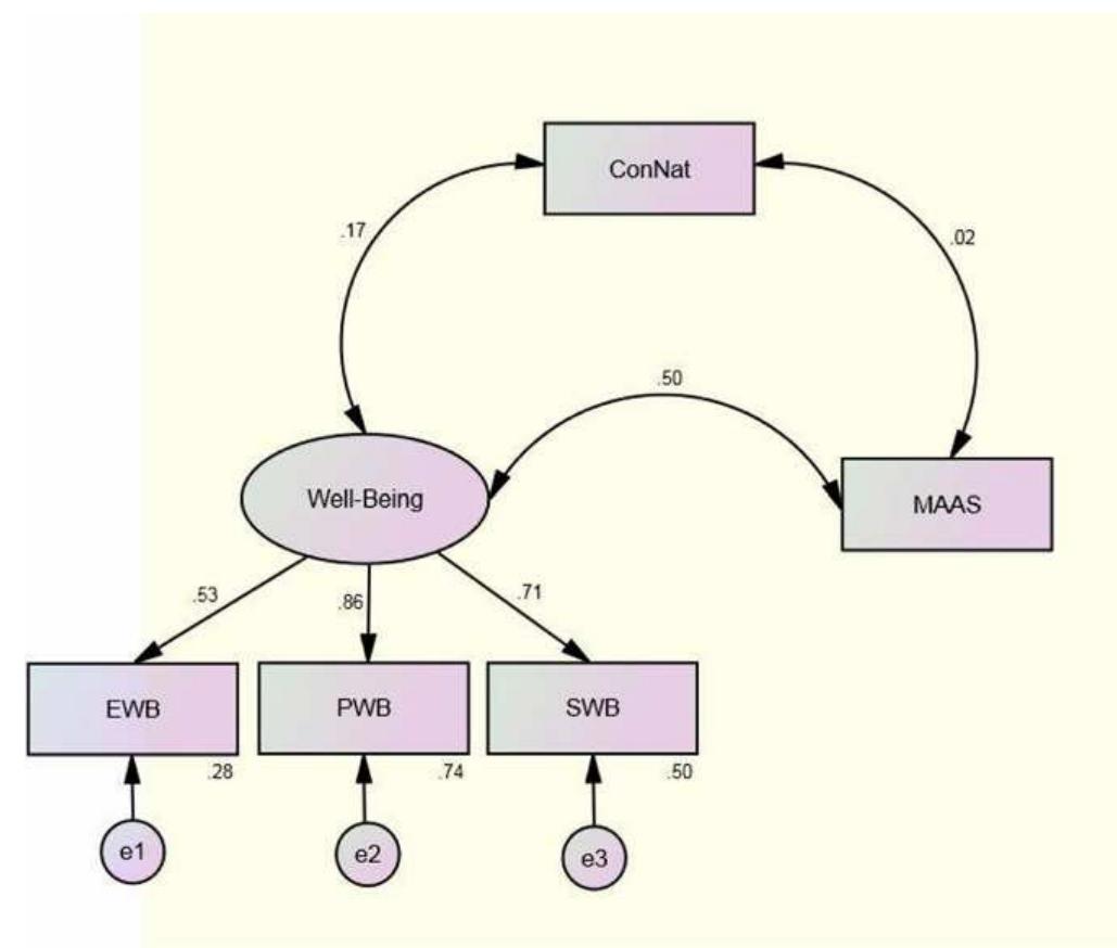 Confirmatory factor analysis for study 1 depicting