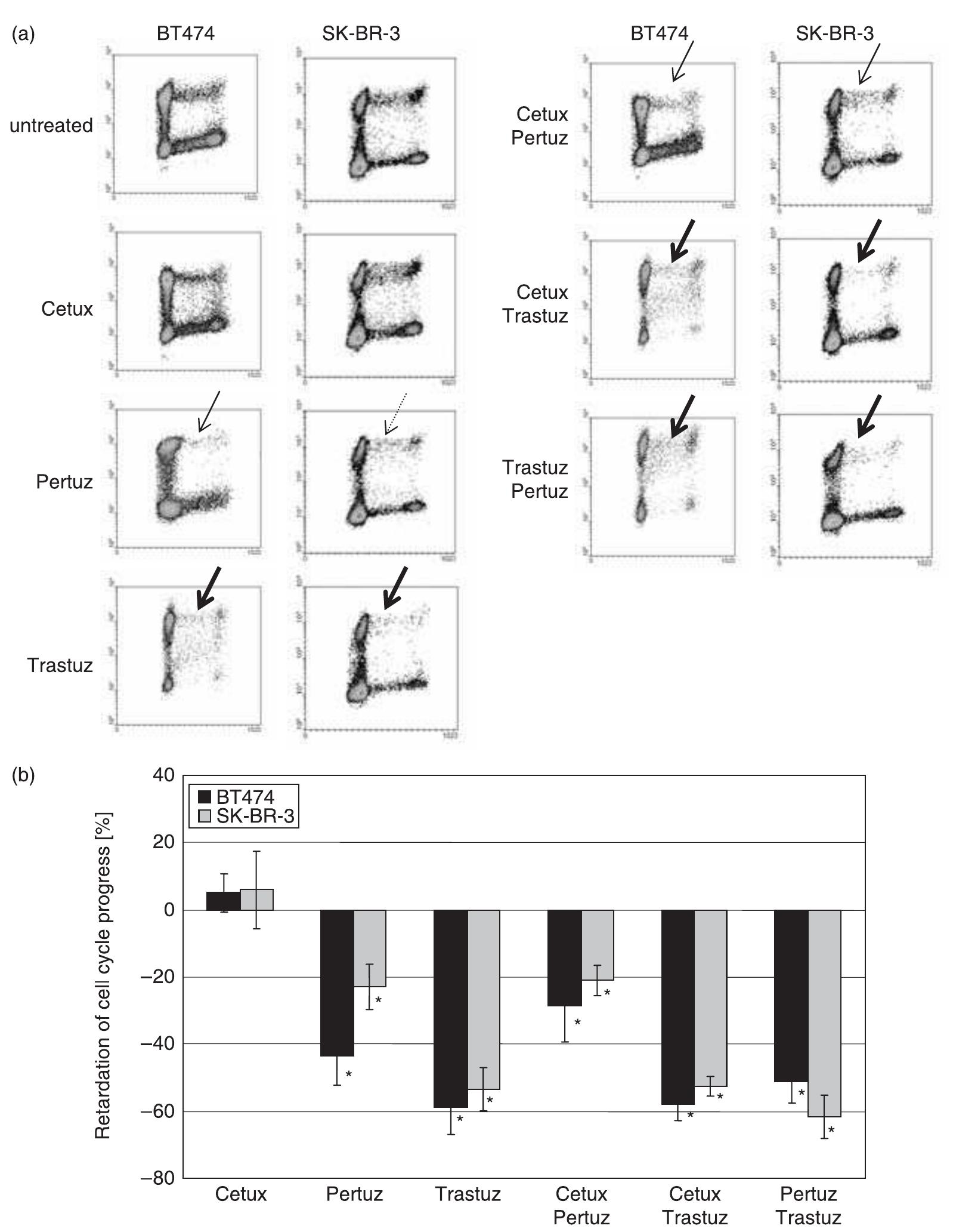 (PDF) Differential impact of Cetuximab, Pertuzumab and Trastuzumab on ...