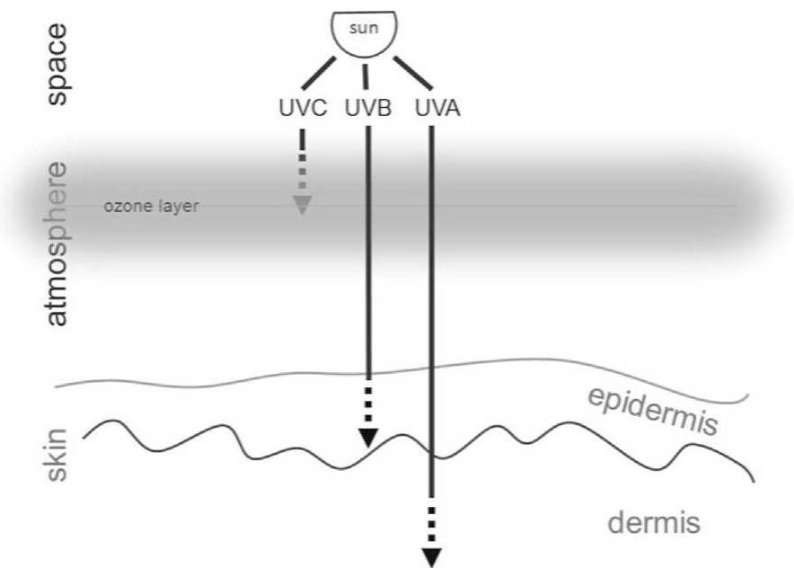 Uvc Notes Pathways of solar uv radiation through the atmosphere and