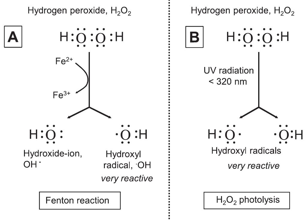 The formation of very reactive hydroxyl radicals from