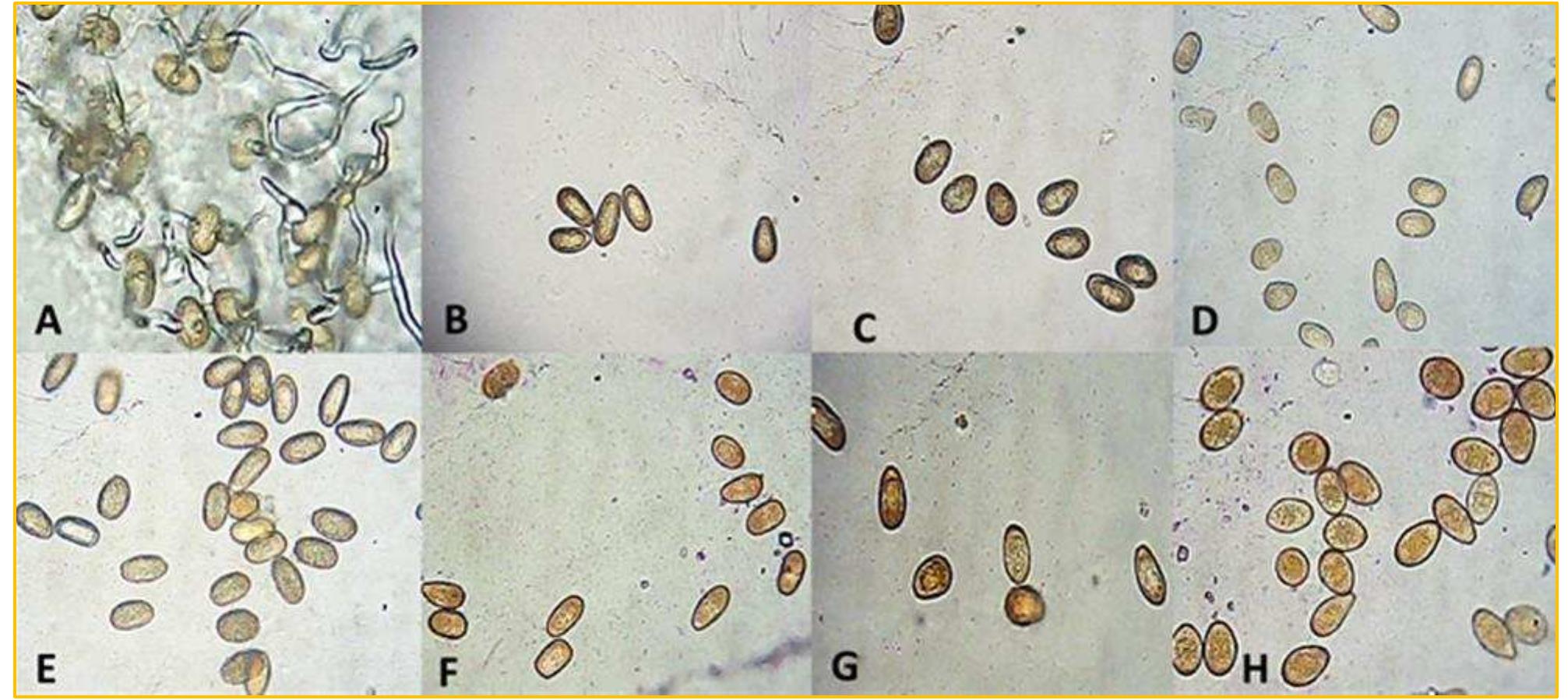 Figure 2 - from Role of Non-traditional Control Treatments