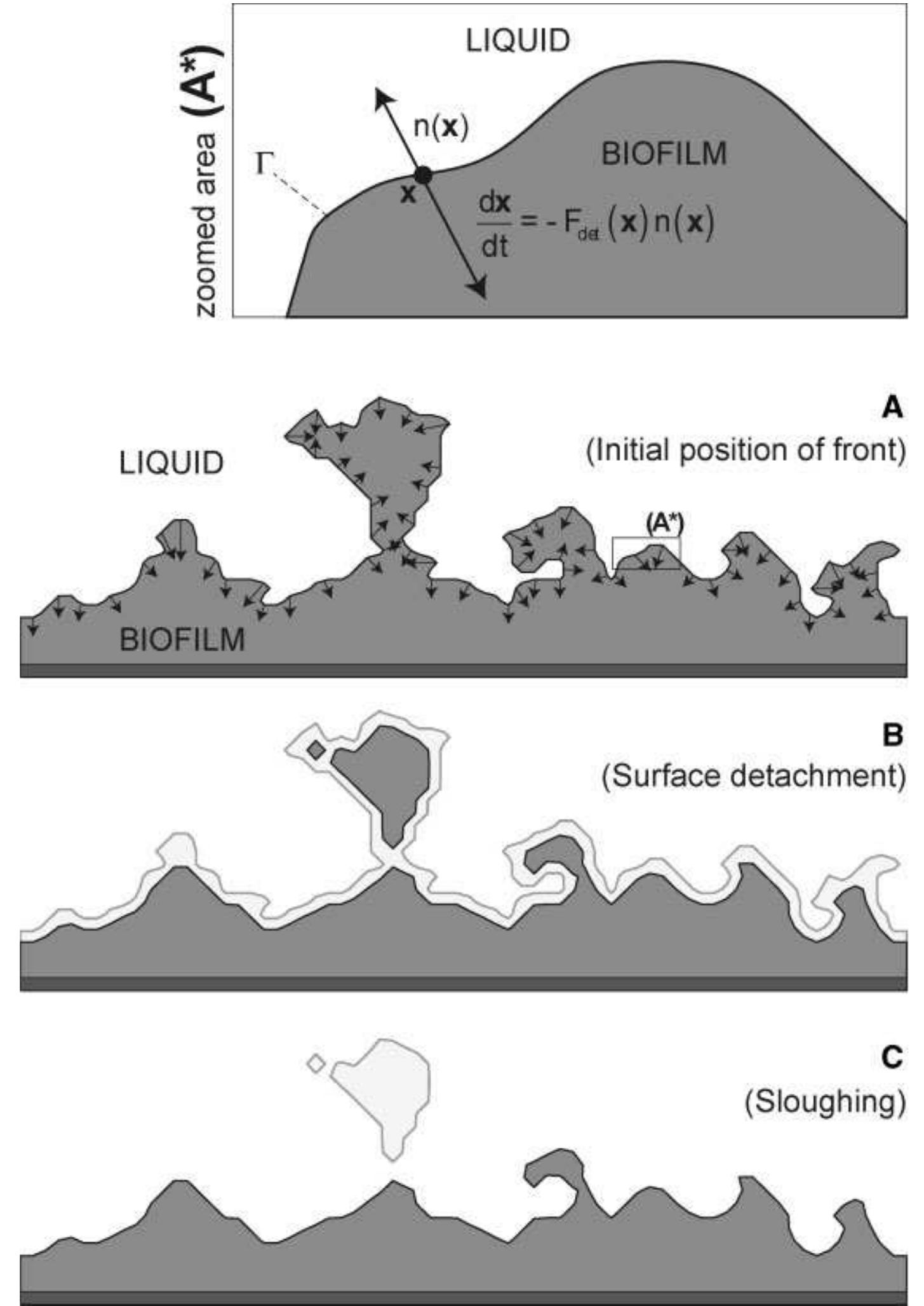 Schematic representation of the procedure for implementing