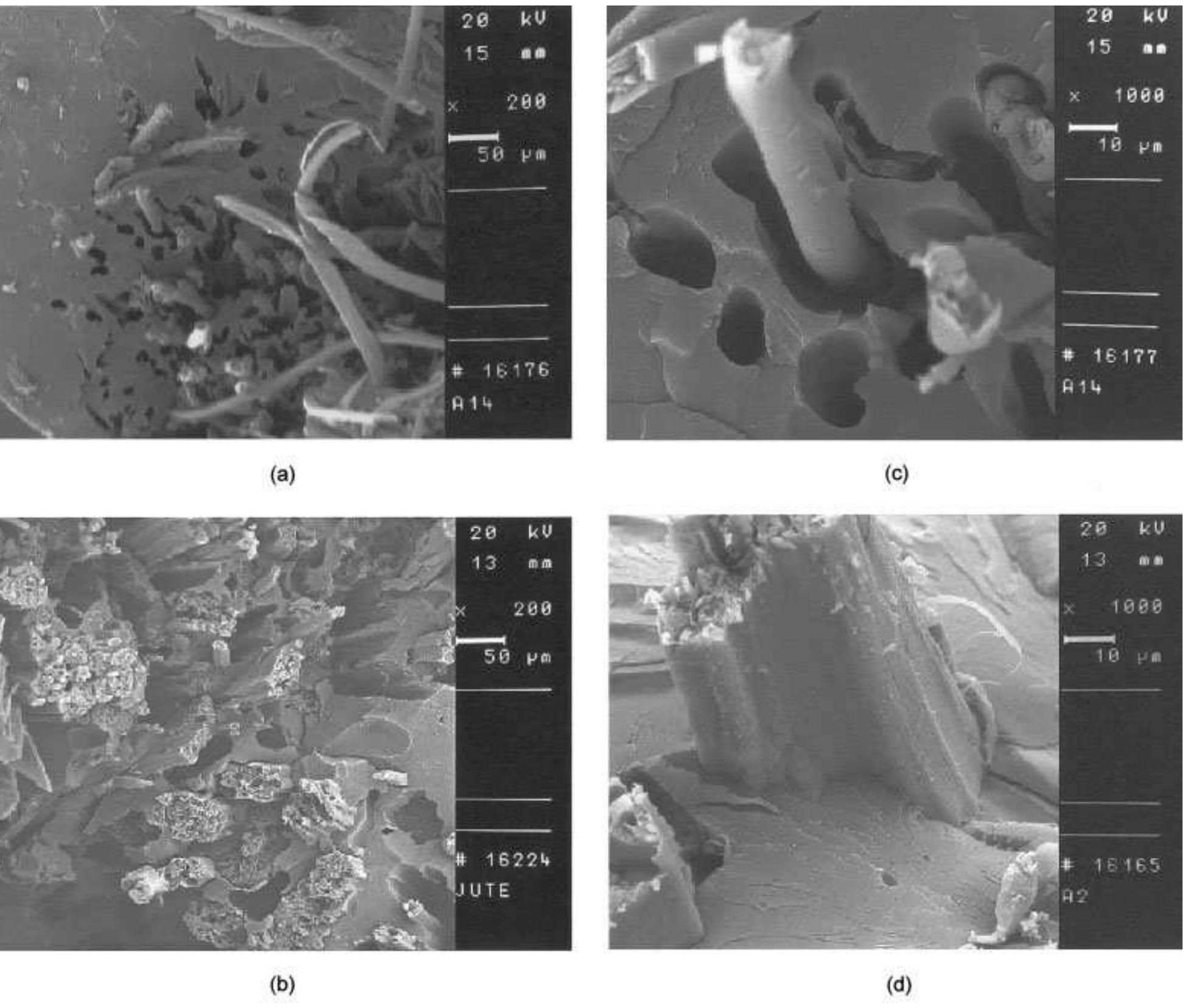 Scanning electron micrographs of fracture surfaces of the
