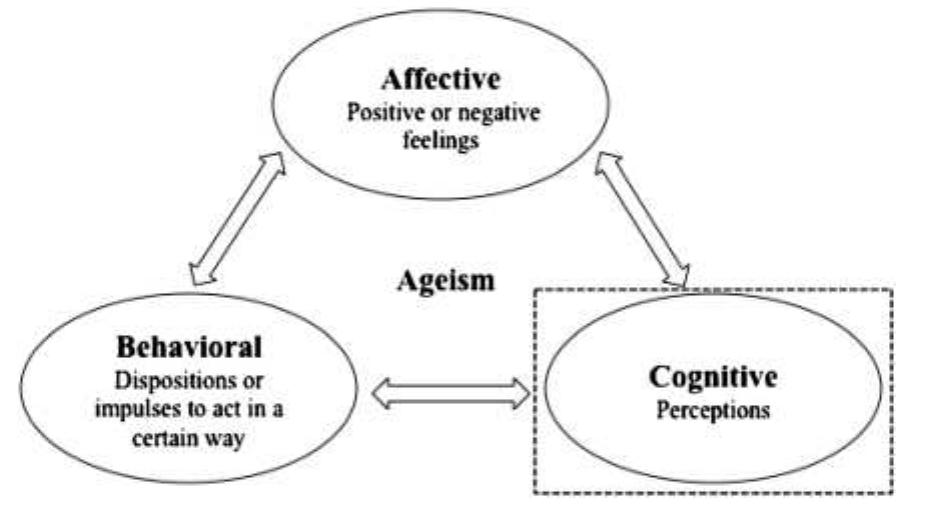 The tripartite model of ageism. note: dashed box indicates
