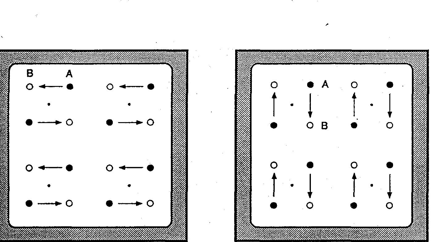 PDF) Large-scale neuronal theories of the brain