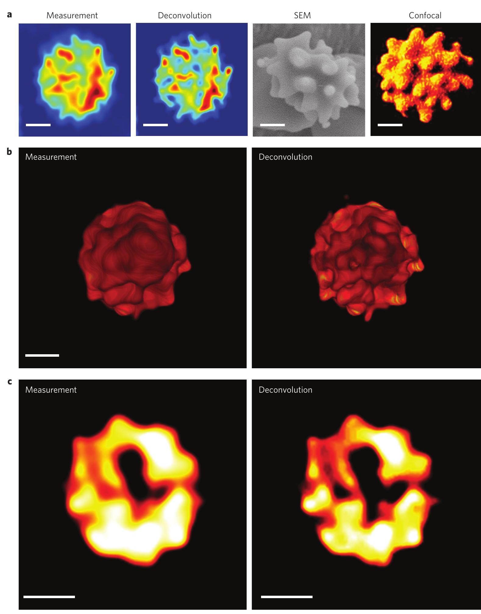 (PDF) White-light diffraction tomography of unlabelled live cells