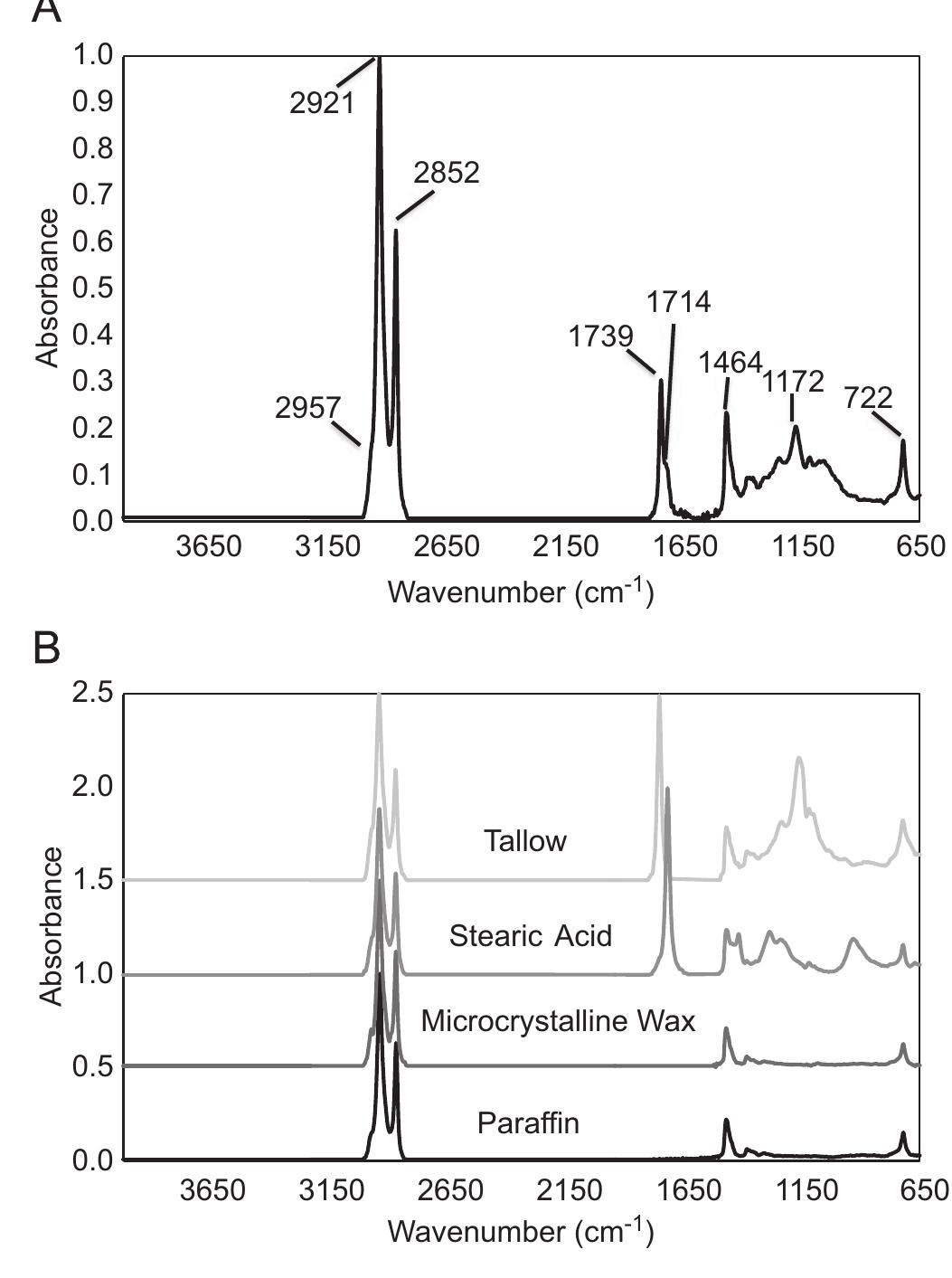 (PDF) A novel, direct, reagent-free method for the detection of beeswax ...