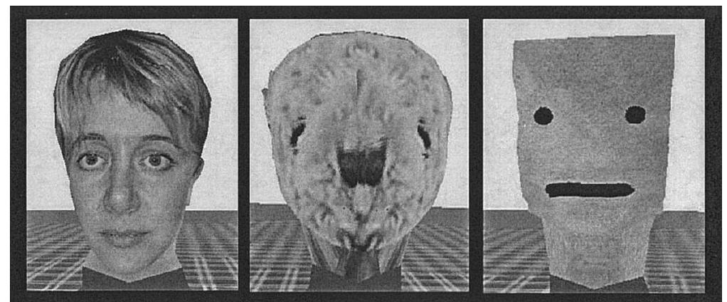 (PDF) The Independent and Interactive Effects of Embodied-Agent ...