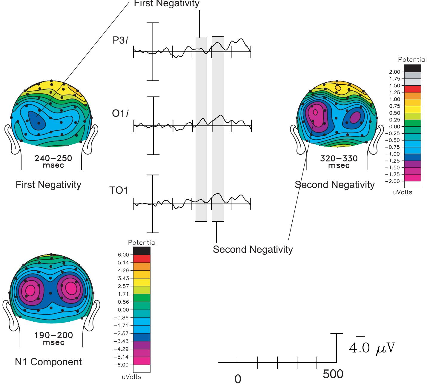 Scalp topographic voltage maps of the context double