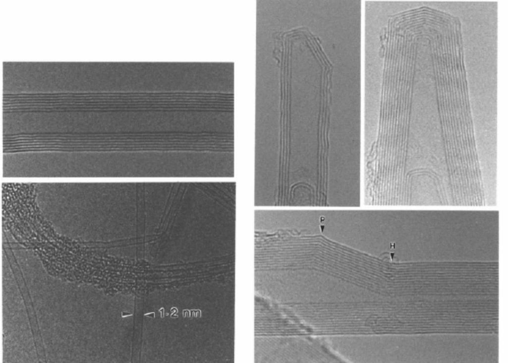 Figure 6 - from The wondrous world of carbon nanotubes "a