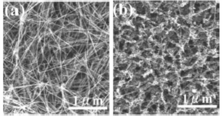 Figure 12 - from The wondrous world of carbon nanotubes "a