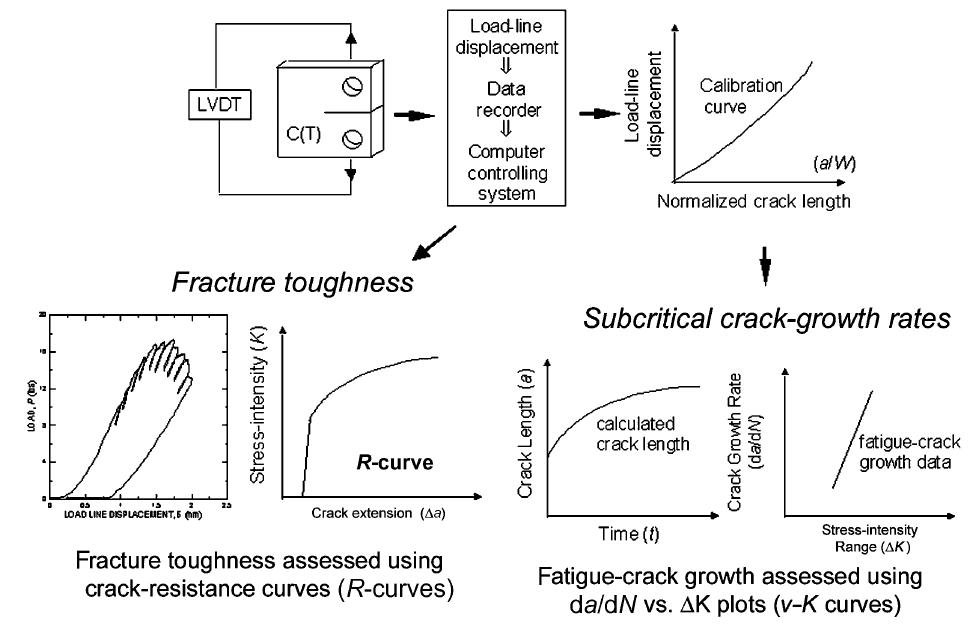 Schematic illustrations showing an overview of testing