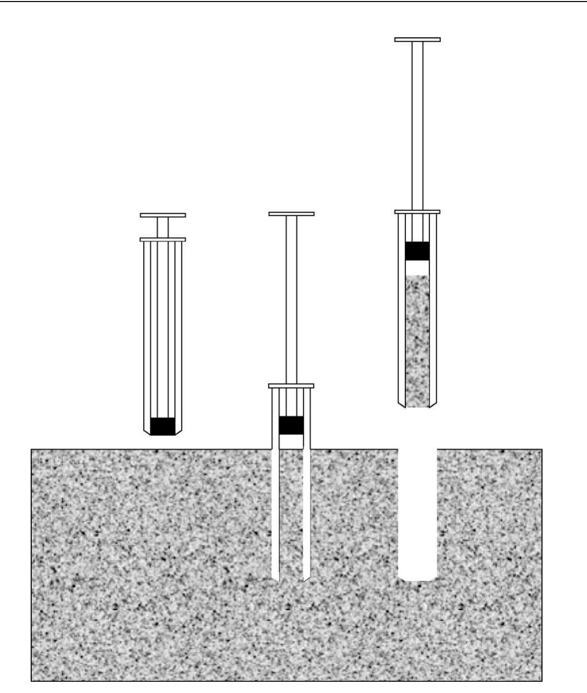 (PDF) Meiofauna Techniques