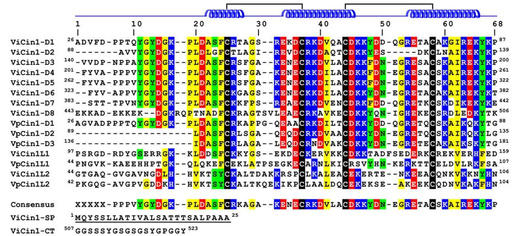 (PDF) Structure, dynamics and domain organization of the repeat protein ...