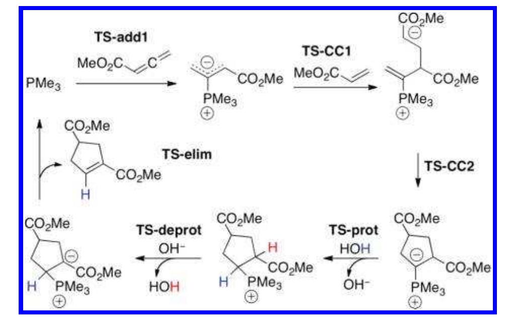 Pme3-catalyzed [3 + 2] cycloaddition mechanism of allenoate