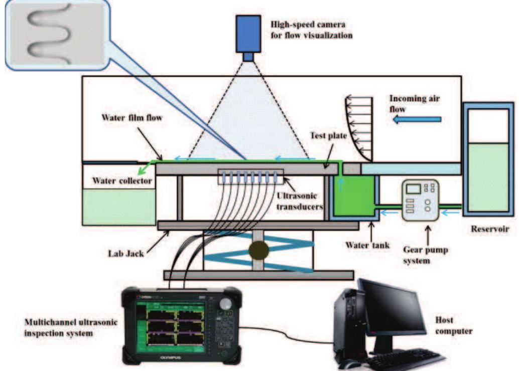 Schematic of experiment setup for wind-driven water film