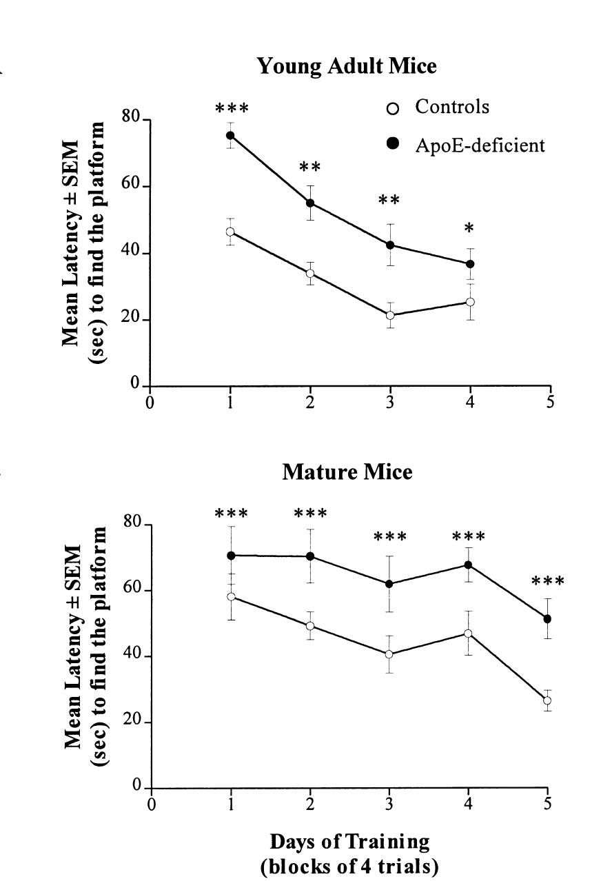Comparison of long-term potentiation in three-month- old