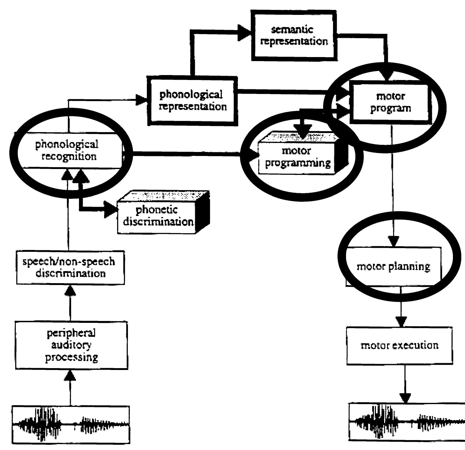 Figure 2 - from Phonological therapy within a