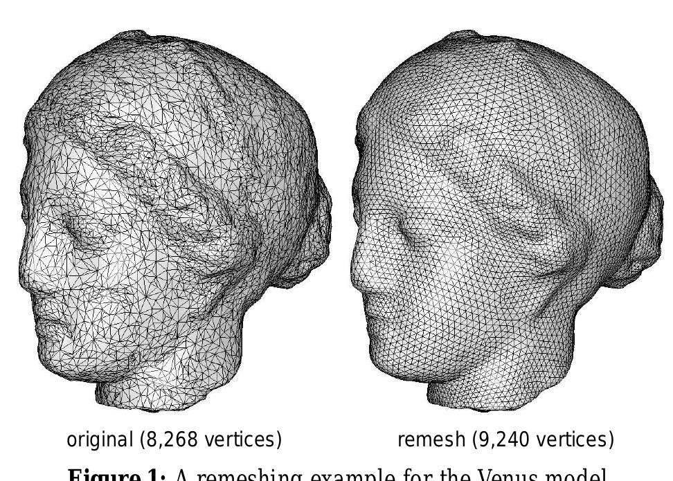(PDF) Explicit Surface Remeshing