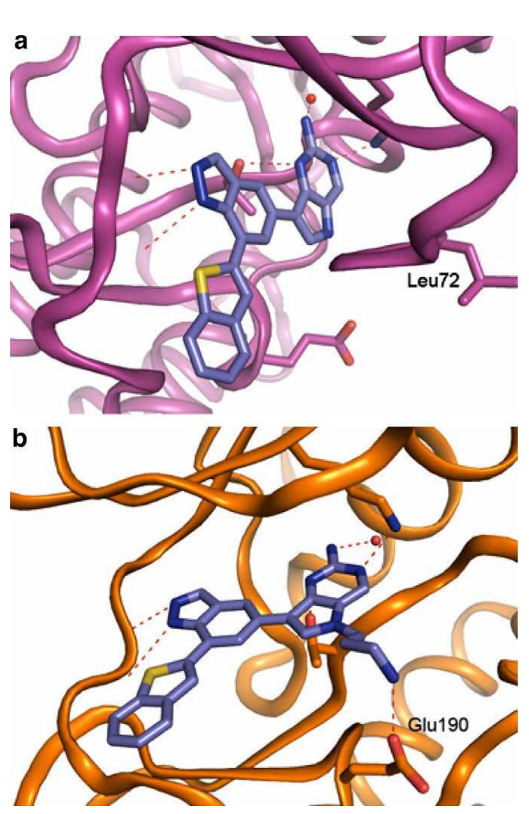 Mk2 Inhibitor (PDF) 2,4-Diaminopyrimidine MK2 inhibitors. Part II: Structure-based ...