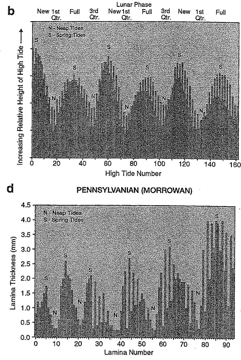Tidal Graph Paper Figure 4 - from Chapter 1: Tidal Constituents of Modern and