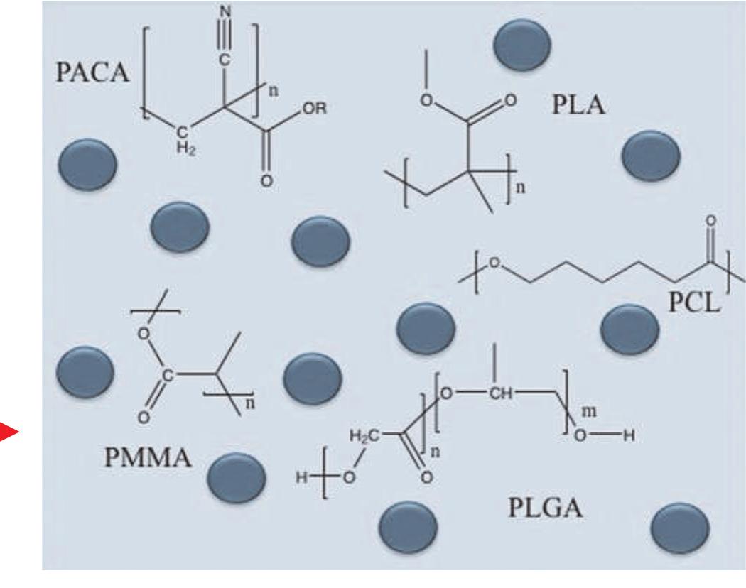 Figure 3 - from The Vitreous Humor As a Barrier to