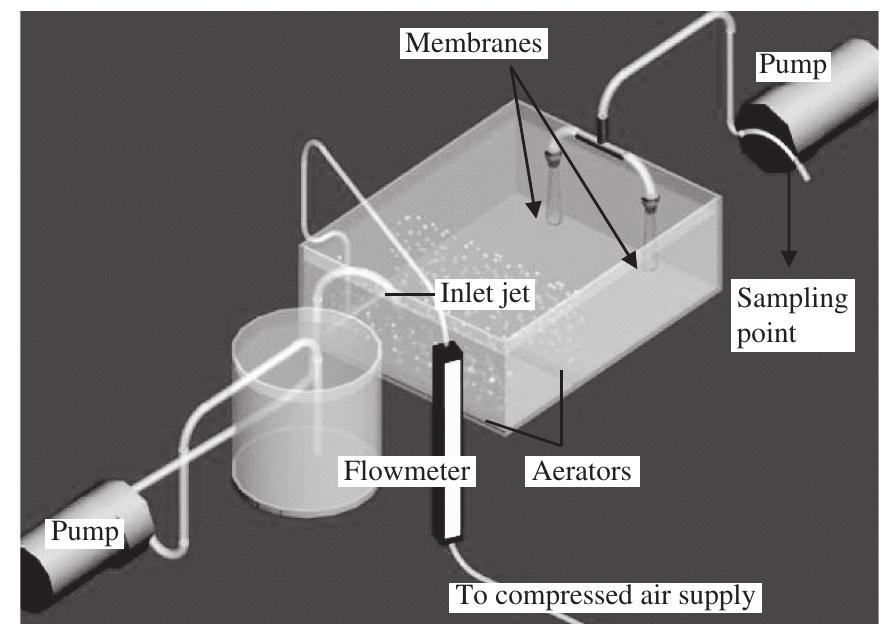 Mbr Variable Diagram of bench scale mbr. direction of flow through the