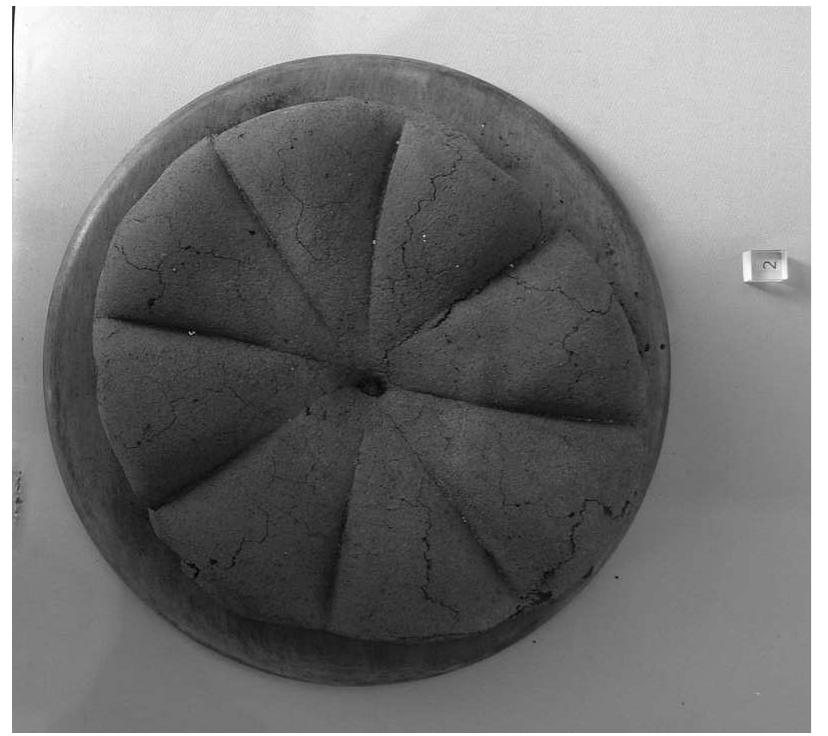 Figure 10 Bread from Pompeii. From http://commons.wikimedia.org/wiki/File: Pompei_pane.jpg. Photo: ‘Beatrice,’ used under the Creative Commons Attribution- Share Alike 2.0 Italy license. 